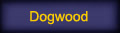 Dogwood Pics